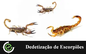 Escorpiões - Exterminex