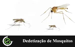 Mosquitos - Exterminex