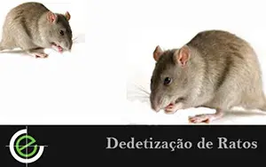 Ratos - Exterminex